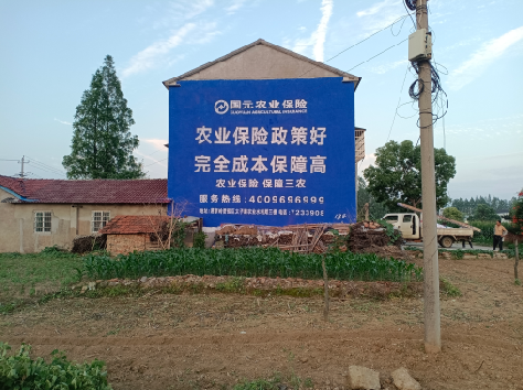 凭祥县墙体广告的优劣势你知道吗？